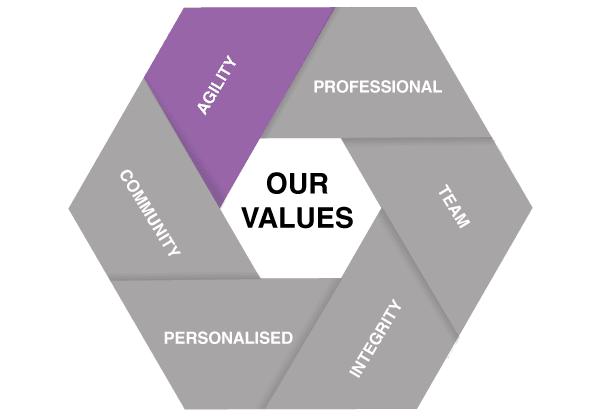 Our Values - Agility