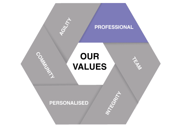 Our Values - Professional